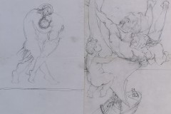 IMG_20220429_120704