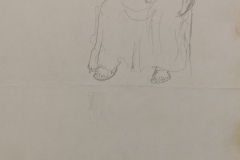 flashmul