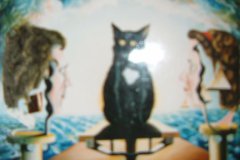 Gato con Günter y Elke